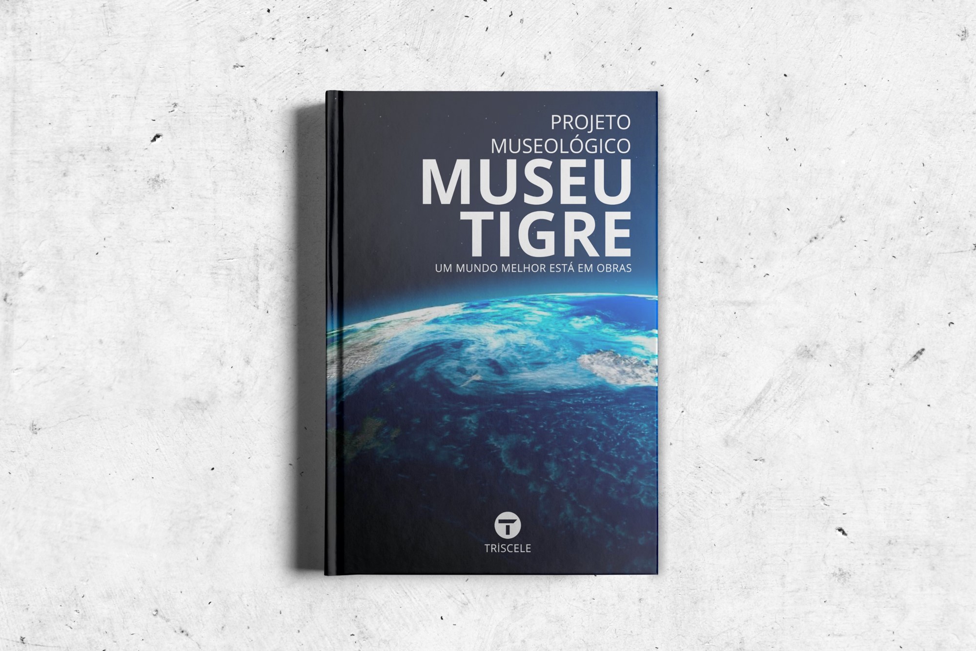 Projeto Museológico para o Museu Tigre - um mundo melhor está em obra. A Tríscele tem desenvolvido assessoria para a Tigre Tubos e Conexões S.A., de Joinville, para a salvaguarda do seus patrimônio industrial.